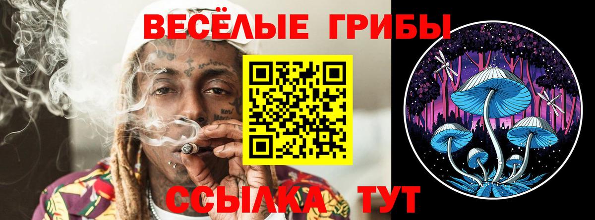 Сафоново  Галлюциногенные грибы GOLDEN TEACHER  Вход с VPN 
