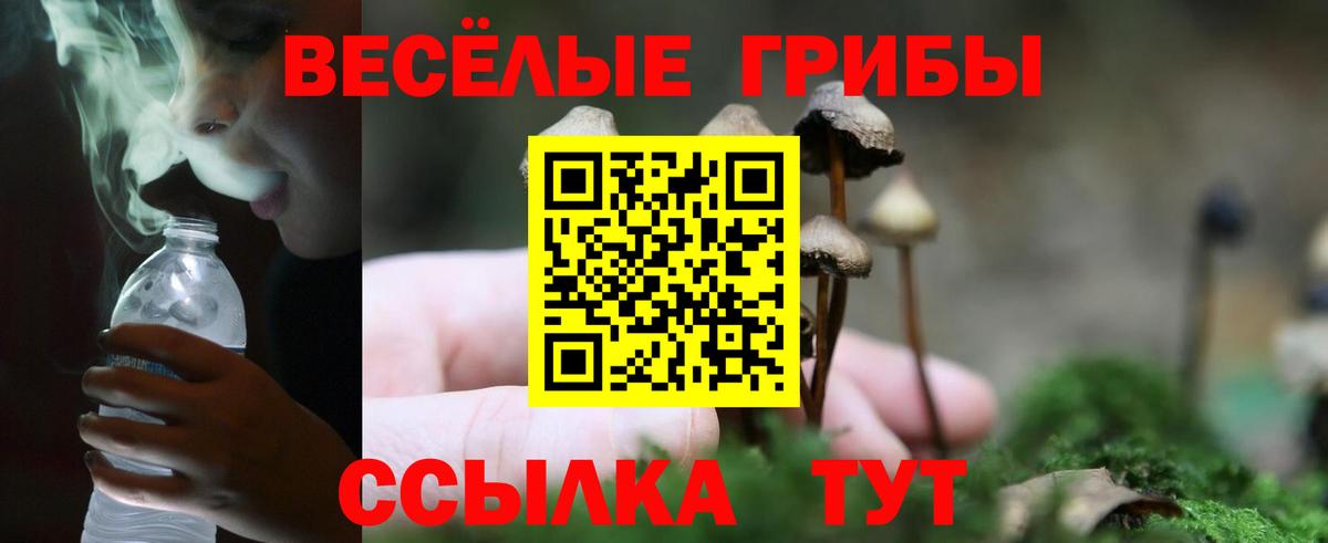 Галлюциногенные грибы мухоморы Сафоново